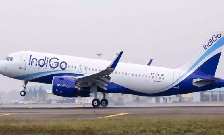 indigo