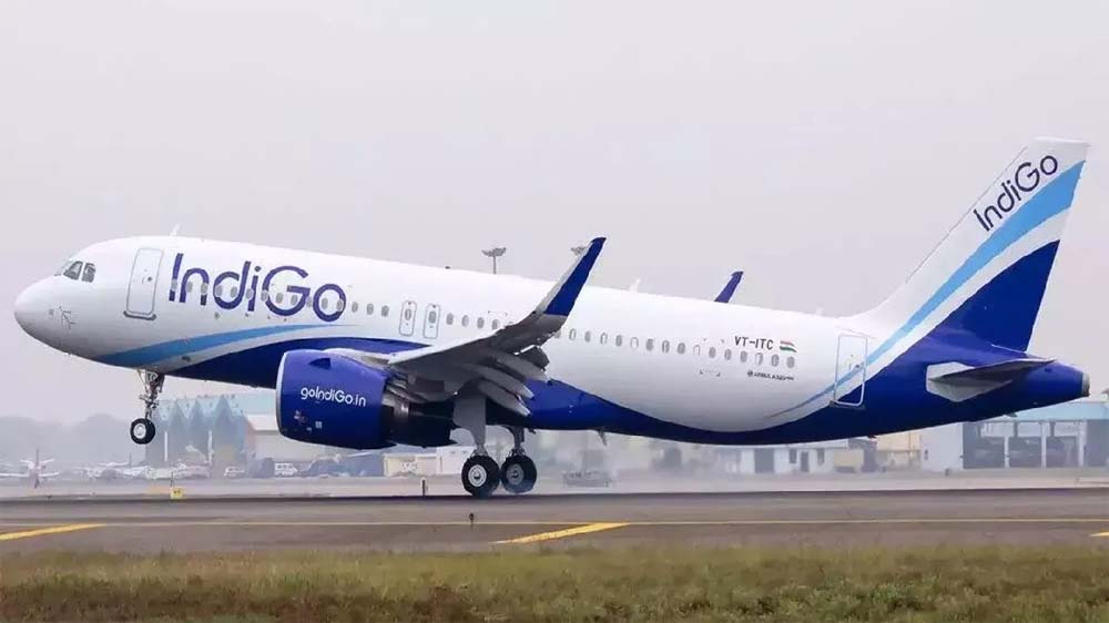 indigo