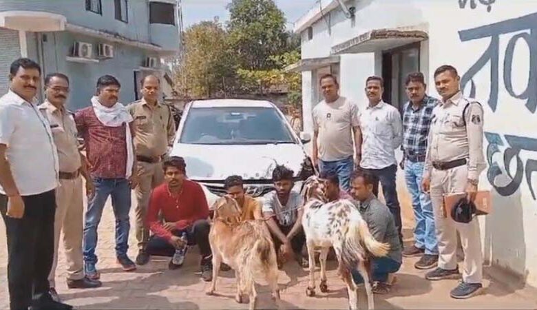 bakri chor