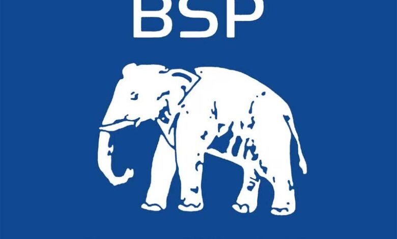 bsp