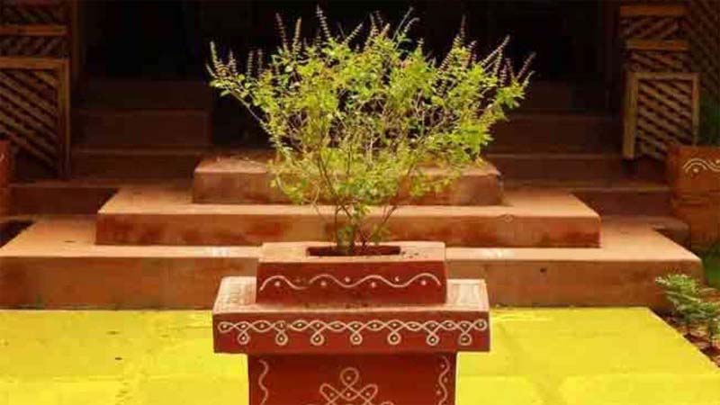 tulsi ji