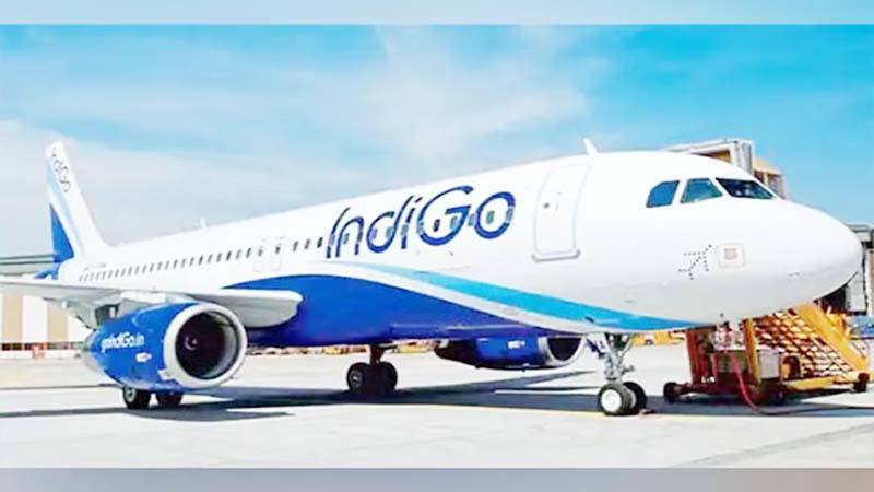 indigo