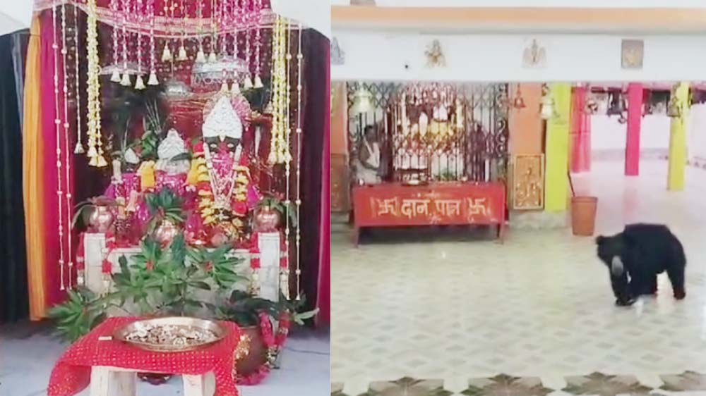 bhalu mandir