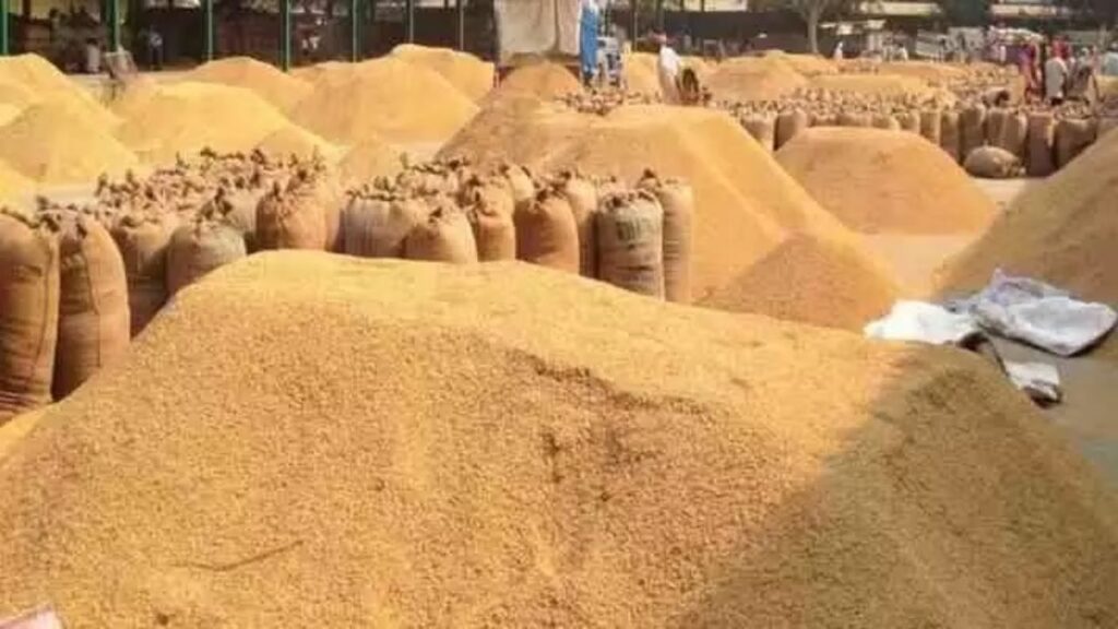 Paddy Procurement