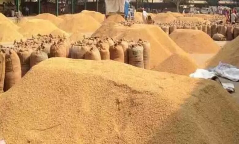 Paddy Procurement