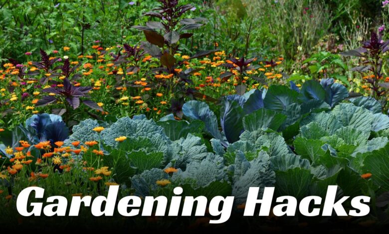 Gardening Hacks