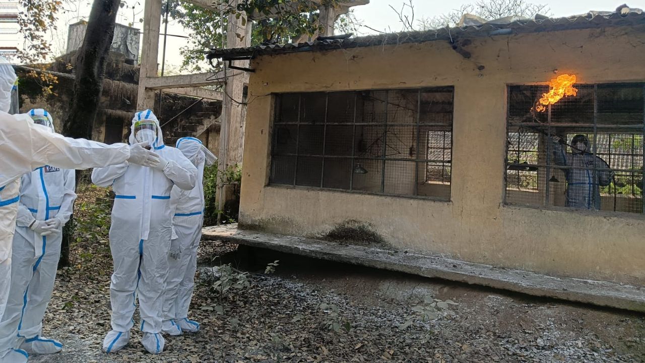 Bird Flu Control In Raigarh