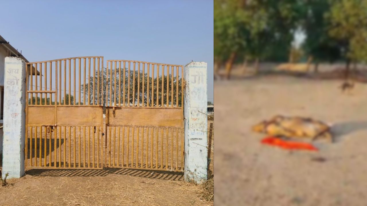 Gariyaband