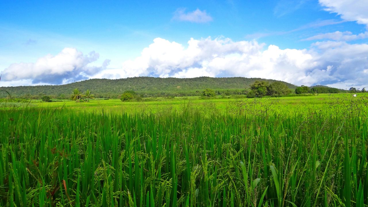 PM Fasal Bima Yojana