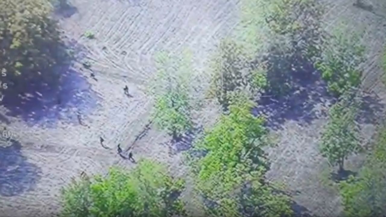 CG Anti Naxal Operation