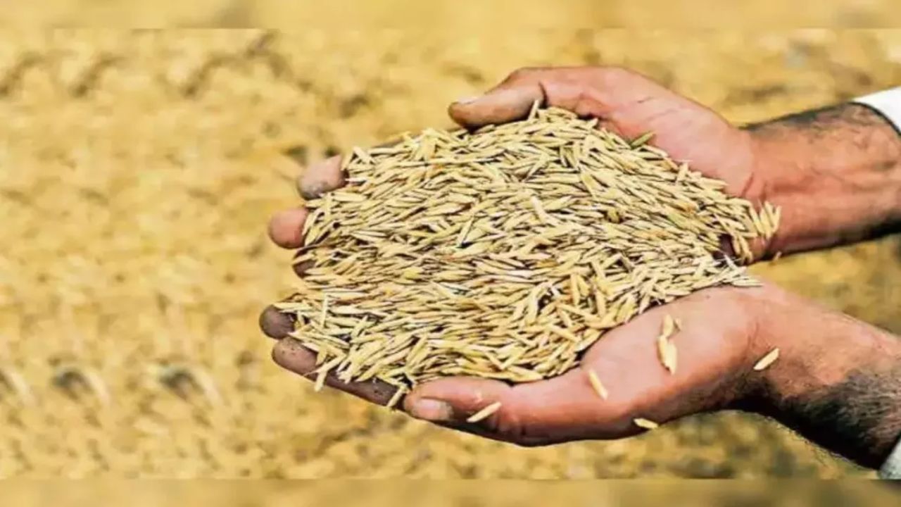 छत्तीसगढ़