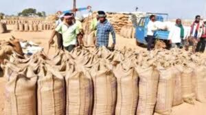 धान खरीदी में नया रिकॉर्ड: 13 जनवरी तक 17.77 लाख किसानों के खातों में पहुंचा ₹23,448 करोड़