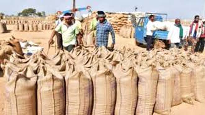 धान खरीदी में नया रिकॉर्ड: 13 जनवरी तक 17.77 लाख किसानों के खातों में पहुंचा ₹23,448 करोड़