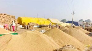 खुशखबरी : छत्तीसगढ़ में 6 फरवरी तक होगी धान खरीदी, जानें किन किसानों को मिलेगा बढ़ी हुई तारीख का लाभ