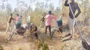 वर्दी में फॉरेस्ट गार्ड के पिटाई का वीडियो वायरल : अब नौकरी पर भी संकट… डीएफओ ने मांगा जवाब