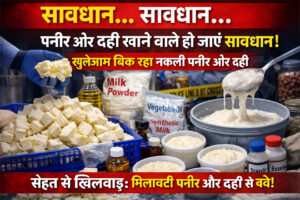 सावधान.. सावधान.. पनीर और दही खाने वाले हो जाए सावधान.. खुलेआम बिक रहा नकली पनीर और दही..  