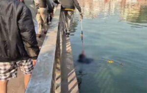 कंकाली तालाब में मिली लाश : शव मिलने से पूरे क्षेत्र में दहशत का माहौल, पुलिस जांच मे जुटी