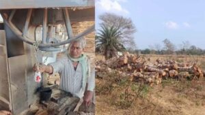वन-विभाग की बड़ी कार्रवाई : अवैध लकड़ी भंडारण पर आरा मिल सील, संचालक ने दी जान से मारने की धमकी