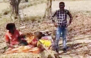 बाघ का आतंक : मवेशियों पर किया हमला, ग्रामीण ने भागकर बचाई अपनी जान