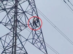 हाईटेंशन बिजली के टावर पर चढ़ा ग्रामीण, जमीन कब्जा करने का लगाया आरोप, लाउडस्पीकर लेकर पहुंचे प्रशासन के अधिकारी