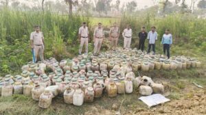 अवैध शराब माफियाओं पर पुलिस की सर्जिकल स्ट्राइक, यहां झाड़ियों में छिपा 6000 किलो लाहन बरामद
