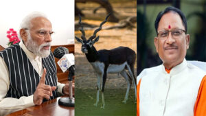 बिजली की रफ्तार से भागता है ‘ब्लैक बक’, जिसका पीएम मोदी ने किया जिक्र, सीएम साय ने कहा “पीएम ने काले हिरण संरक्षण का किया जिक्र”