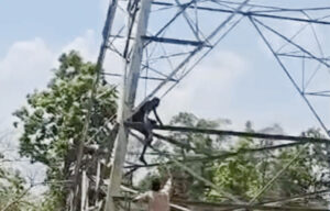 पत्नी से नाराज पति का हाईवोल्टेज ड्रामा, 220KV बिजली टावर पर चढ़ा, पुलिस ने वहीं पर दिया पानी