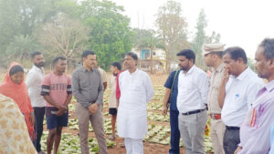 वन मंत्री केदार कश्यप ने दहिकोंगा तेंदूपत्ता फड़ का किया निरीक्षण, वन मंत्री ने संग्राहकों से किया सीधा संवाद