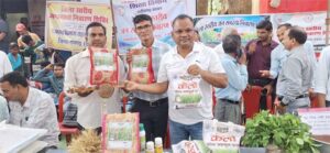 लैलूंगा की पहचान बना ‘केलो’ जैविक जंवाफूल चावल : देशभर में बढ़ रही मांग, बेंगलुरु से कारगिल तक पहुंच रहा सुगंधित चावल