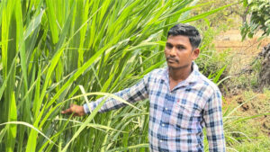 मजदूरी की बेड़ियां तोड़ ‘मल्टी-फार्मिंग’ के नायक बने ललित यादव, 6 गायों से शुरू हुआ डेयरी का सफर, आज 25 उन्नत पशुओं के साथ लिख रहे सफलता की इबारत