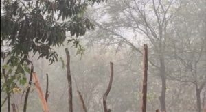 छत्तीसगढ़ में मौसम का यू टर्न, झमाझम बारिश ने दिलाई गर्मी से राहत