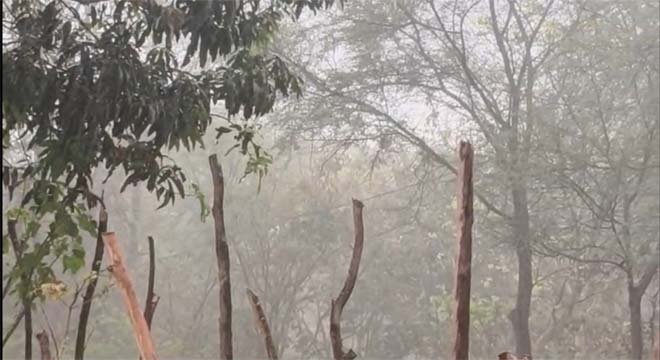 छत्तीसगढ़ में मौसम का यू टर्न, झमाझम बारिश ने दिलाई गर्मी से राहत