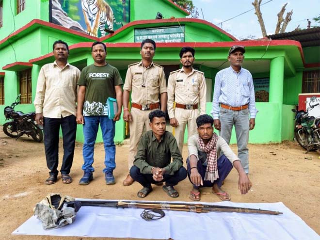 टाइगर रिजर्व में अवैध घुसपैठ पर बड़ी कार्रवाई: ओडिशा के 2 शिकारी गिरफ्तार