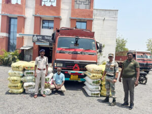 गाँजा तस्करी पर बड़ी कार्रवाई : 3 करोड़ का गांजा जब्त, ओड़िशा से महाराष्ट्र में खपाने की थी तैयारी