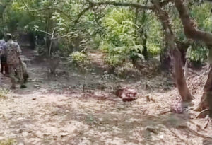 नर्सरी के भीतर मिली युवक की रक्तरंजित लाश, हत्या की आशंका से पुलिस कर रही जांच
