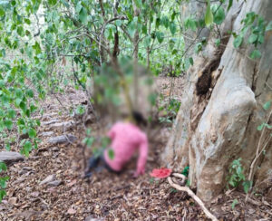 नदी किनारे पेड़ पर फंदे से लटका मिला वृद्ध का शव, इलाके में फैली सनसनी 