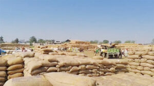 77 लाख का धान घोटाला, 4 महीने तक ऑनलाइन सिस्टम को किया गुमराह, केंद्र प्रभारी समेत 3 पर एफआईआर