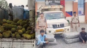 कटहल के नीचे छिपाकर हो रही थी गांजा तस्करी, पुलिस ने दो अंतरराज्यीय तस्करों को किया गिरफ्तार