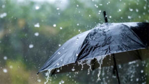 छत्तीसगढ़ में जल्द मानसून देगी दस्तक! अगले 48 घंटे कई जिलों में बारिश के आसार, अलर्ट जारी