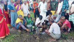 मेढ़क बना दूल्हा, मेढ़की संग लिए फेरे, सूरजपुर में इंद्रदेव को मनाने रचाई गई अनोखी शादी