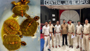 पेट शॉप पर वन विभाग की छापेमारी, दुर्लभ कछुओं की तस्करी करते संचालक गिरफ्तार