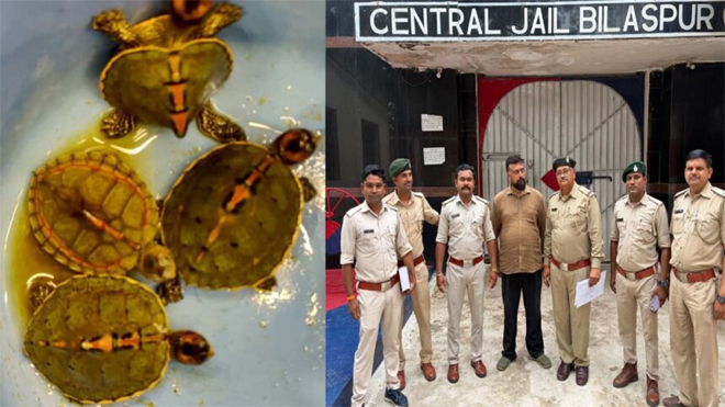 पेट शॉप पर वन विभाग की छापेमारी, दुर्लभ कछुओं की तस्करी करते संचालक गिरफ्तार