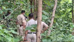 महामाया पहाड़ में युवती का मिला कंकाल : घटना स्थल से कपड़े, ब्रेसलेट और दवाईयां भी मिली,शिनाख्त के प्रयास जारी