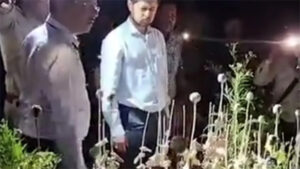 मक्के के बीचोंबीच अवैध अफीम की खेती, 143 दिन बाद पुलिस ने कोर्ट में पेश किया 939 पन्नों का चालान