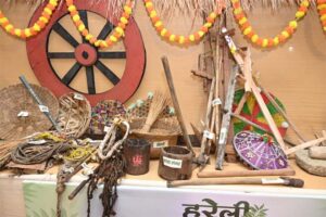 छत्तीसगढ़ का लोक-पर्व : “हरेली तिहार” छत्तीसगढ़ के लोक-जीवन, कृषि परंपरा और पर्यावरण-प्रेम का है प्रतीक