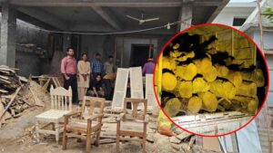लाखों की कीमती सागौन लकड़ी जप्त : सरपंच के मकान से मिले सागौन के चिरान और गोले, वन विभाग ने की कार्रवाई