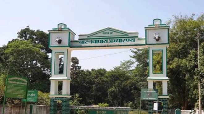 बार नवापारा वनांचल में भालू का आतंक : सुबह पांच बजे दो ग्रामीण पर हमला कर लहूलुहान किया, हालत गंभीर