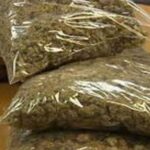 बाबू जीएसटी गाँजा बेचते पकड़ाया, पुलिस ने जप्त किया ढाई किलोग्राम गांजा