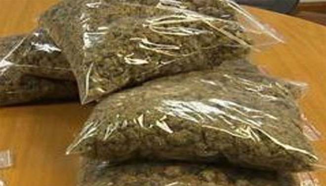 बाबू जीएसटी गाँजा बेचते पकड़ाया, पुलिस ने जप्त किया ढाई किलोग्राम गांजा