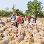 बस्तर संभाग के 7 जिलों के किसानों को राहत, गांव के नजदीक मिलेगी समर्थन मूल्य पर धान बेचने की सुविधा